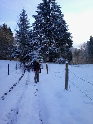 Sch&ouml;ner Hohlweg auf dem Weg zur Kohlstattalm - diesmal mit Schnee :D